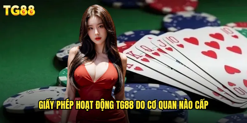 Giấy Phép Hoạt Động TG88 Hợp Pháp Từ Curaçao Gaming 1 Giấy phép hoạt động TG88 do cơ quan nào cấp