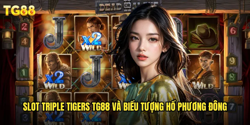 Slot Triple Tigers TG88 Ba Chú Hổ Vàng Mang Lại Tài Lộc 2 Slot Triple Tigers TG88 và biểu tượng hổ phương Đông