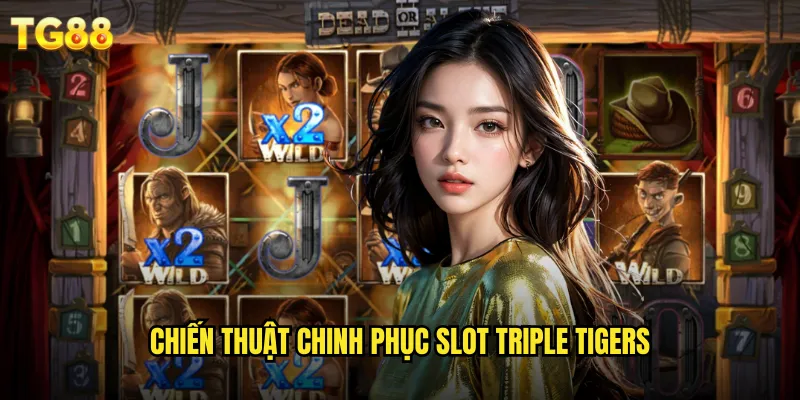 Slot Triple Tigers TG88 Ba Chú Hổ Vàng Mang Lại Tài Lộc 3 Chiến thuật chinh phục slot triple tigers