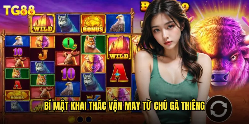Slot Chú Gà Vàng TG88 Linh Vật Đậu Để Cả Năm Thịnh Vượng 3 Bí mật khai thác vận may từ chú gà thiêng