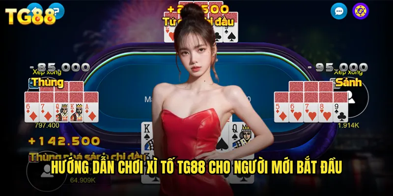 Xì Tố TG88 Phong Cách Vegas Ngay Tại Nhà Bạn 2 Hướng dẫn chơi xì tố TG88 cho người mới bắt đầu
